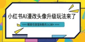 小红书最新AI漫改头像项目,精准引流宝妈粉,月入1w+ - 技研社-技研社