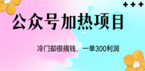 冷门公众号加热项目,一单利润300+ - 技研社-技研社