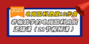 电商盈利-思维10步曲，老板必学的电商盈利底层逻辑课（21节视频课） - 技研社-技研社
