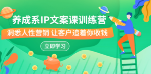 养成系-IP文案课训练营，文案心法的天花板 洞悉人性营销 让客户追着你收钱 - 技研社-技研社