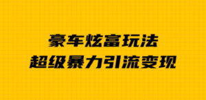 想搞豪车炫富独家玩法?这份副业实操资料把路铺好了-技研社