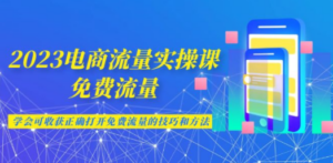 2023电商流量实操课-免费流量，学会可收获正确打开免费流量的技巧和方法 - 技研社-技研社