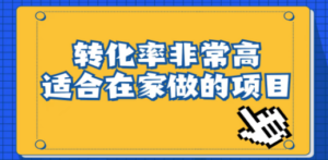 小红书虚拟电商项目：从小白到精英（视频课程+交付手册） - 技研社-技研社