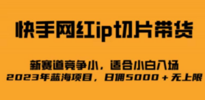 快手网红ip切片新赛道，竞争小事，适合小白 2023蓝海项目 - 技研社-技研社