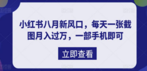 八月新风口,小红书虚拟项目一天收入1000+,实战揭秘 - 技研社-技研社