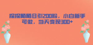 探探陌陌日引200粉:小白新手可做,当天就能变现300+-技研社