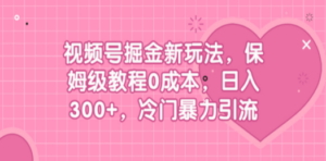 视频号掘金新玩法,保姆级教程0成本,日入300+,冷门暴力引流 - 技研社-技研社