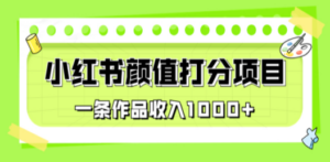 适合0基础小白的小红书颜值打分项目:一条作品收入1000+-技研社