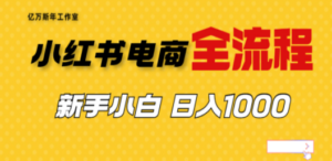 外面收费4988的小红书无货源电商从0-1全流程,日入1000+ - 技研社-技研社