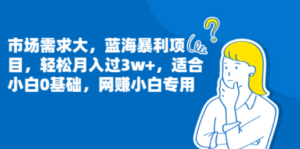 市场需求大，蓝海暴利项目，轻松月入过3w+，适合小白0基础，网赚小白专用 - 技研社-技研社