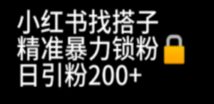 小红书找搭子暴力精准锁粉+引流日引200+精准粉-技研社