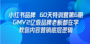 小红书品牌 60天特训营第6期 GMV2亿级品牌老板都在学 教你内容营销底层逻辑 - 技研社-技研社