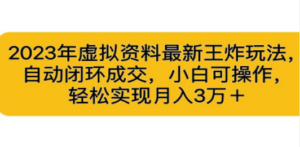 2023年虚拟资料最新王炸玩法:自动闭环成交,小白可操作-技研社