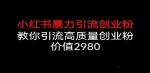 小红书暴力引流创业粉,教你引流高质量创业粉,价值2980 - 技研社-技研社