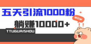 5天引流1000+,赚了1w+ - 技研社-技研社