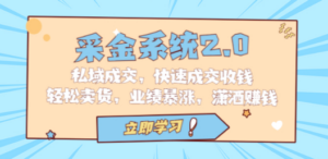 采金 系统2.0，私域成交，快速成交收钱，轻松卖货，业绩暴涨，潇洒赚钱 - 技研社-技研社