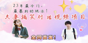 最冷门，最暴利的全新玩法，夫妻搞笑视频项目，虚拟资源一月变现10w+ - 技研社-技研社