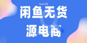 2023最强蓝海项目，闲鱼无货源电商，无风险易上手月赚10000 见效快 - 技研社-技研社