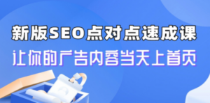 新版SEO点对点引流速成课 让你的广告内容当天上首页 - 技研社-技研社