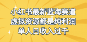 外面收费1980的小红书最新蓝海赛道,虚拟资源都是纯利润,单人日收入过千 - 技研社-技研社