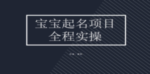 拆解小红书宝宝起名虚拟副业项目:实操玩法分享-技研社