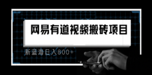 8月有道词典最新蓝海项目，视频搬运日入800+ - 技研社-技研社
