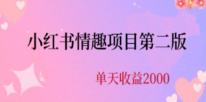 最近爆火小红书情趣项目第二版,每天2000+ - 技研社-技研社