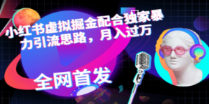 小红书虚拟掘金配合独家首发暴力引流思路，月入过万 - 技研社-技研社