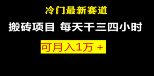 最新冷门游戏搬砖项目，小白零基础也可以月入过万（附教程+软件） - 技研社-技研社