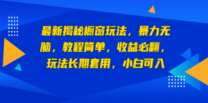 最新揭秘橱窗玩法，暴力无脑，收益必翻，玩法长期套用，小白可入 - 技研社-技研社
