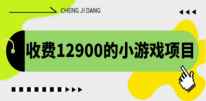 收费12900的小游戏项目，单机收益30+，独家养号方法 - 技研社-技研社