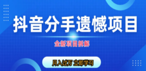 自媒体抖音分手遗憾项目私域项目拆解 - 技研社-技研社