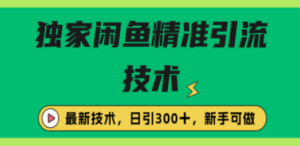 独家闲鱼引流技术，日引300＋实战玩法 - 技研社-技研社