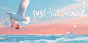 视频号做下雨视频一个账号一周涨粉10W+年入100w - 技研社-技研社