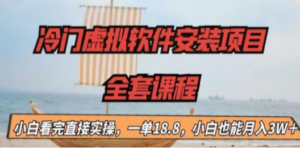 冷门虚拟软件安装项目-技研社