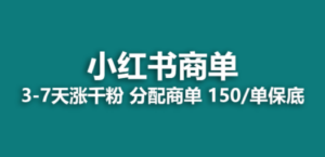 2023最强蓝海项目:小红书商单项目,没有之一-技研社