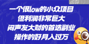 一个很low的小众项目,但利润非常巨大,闷声发大财的首选副业,月入过万 - 技研社-技研社