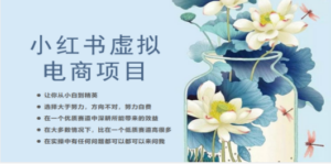 小红书虚拟电商从0到1，让你从小白到精英（20节实操课程） - 技研社-技研社