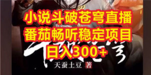 小说斗破苍穹直播:番茄畅听日入300+稳定项目-技研社