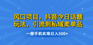 风口项目，抖音今日话题玩法，引流到私域卖单品，一部手机实现日入500+ - 技研社-技研社