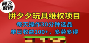 拼多多3C玩具维权项目:一天操作半小时,稳定收入100+-技研社