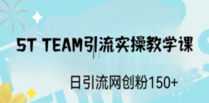 ST TEAM引流实操课,日引流网创粉100+ - 技研社-技研社