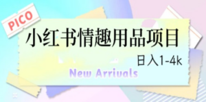 最新小红书情趣用品项目，日入1-4k - 技研社-技研社