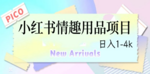 最新小红书情趣用品项目-技研社