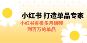 某公众号付费文章《小红书 打造单品专家》小红书有很多月销额到百万的单品 - 技研社-技研社
