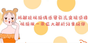 拆解短视频情感号引流变现项目-技研社