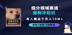 不起眼的抖音细分赛道-技研社