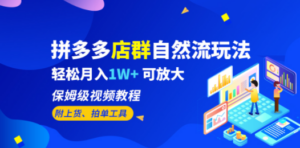 拼多多店群自然流玩法：轻松月入1W+，视频教程-技研社