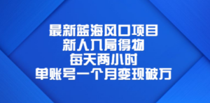 最新蓝海风口项目，新人入局得物，每天两小时，单账号一个月变现破万 - 技研社-技研社