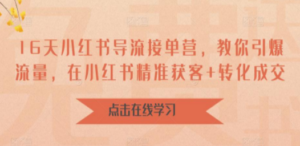 16天-小红书 导流接单营，教你引爆流量，在小红书精准获客+转化成交 - 技研社-技研社